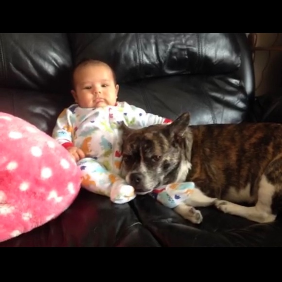 Meet your Posher, Marvelous - Picture 7 of 7